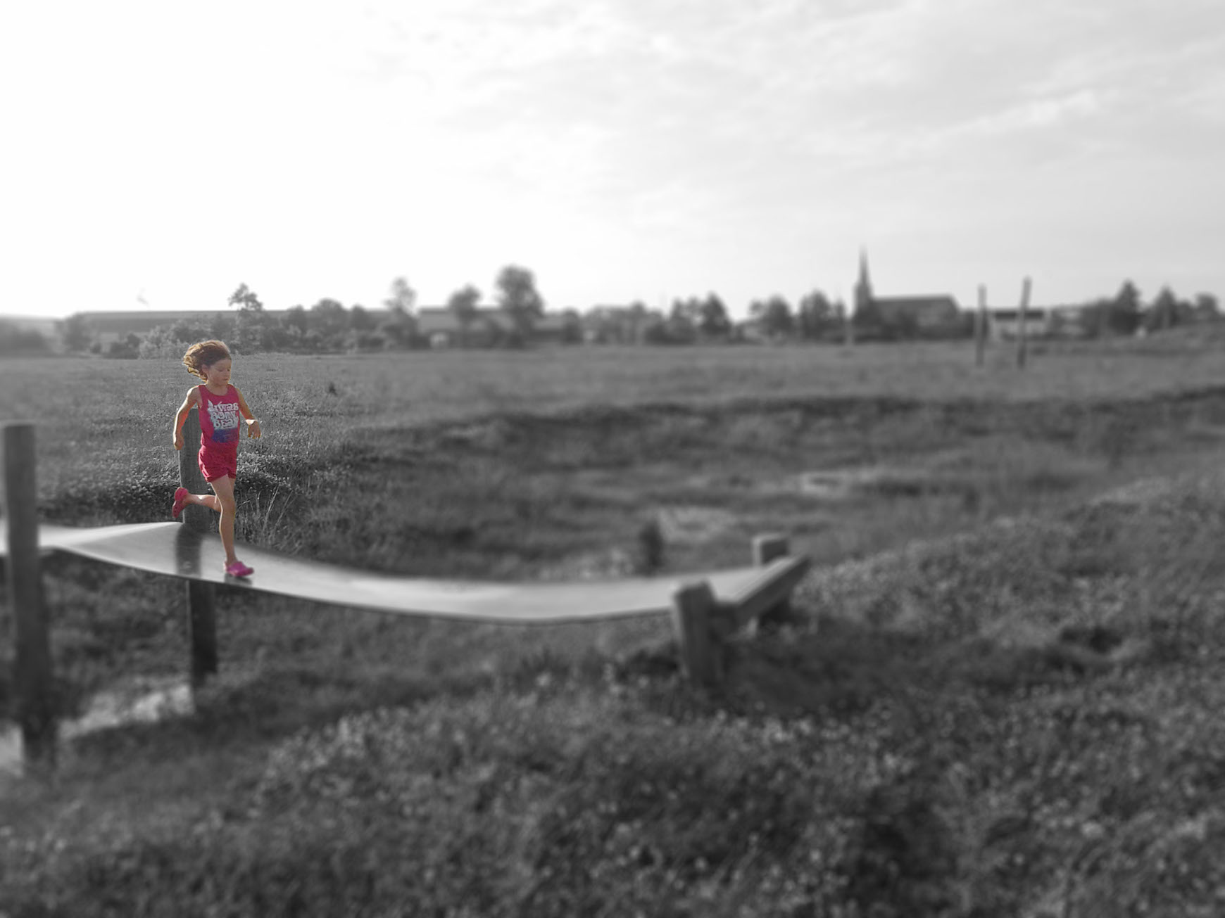 Dandez create publish enjoy